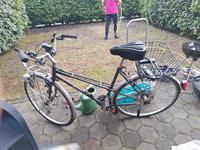 Damenfahrrad 28 Zoll Niedersachsen - Stuhr Vorschau