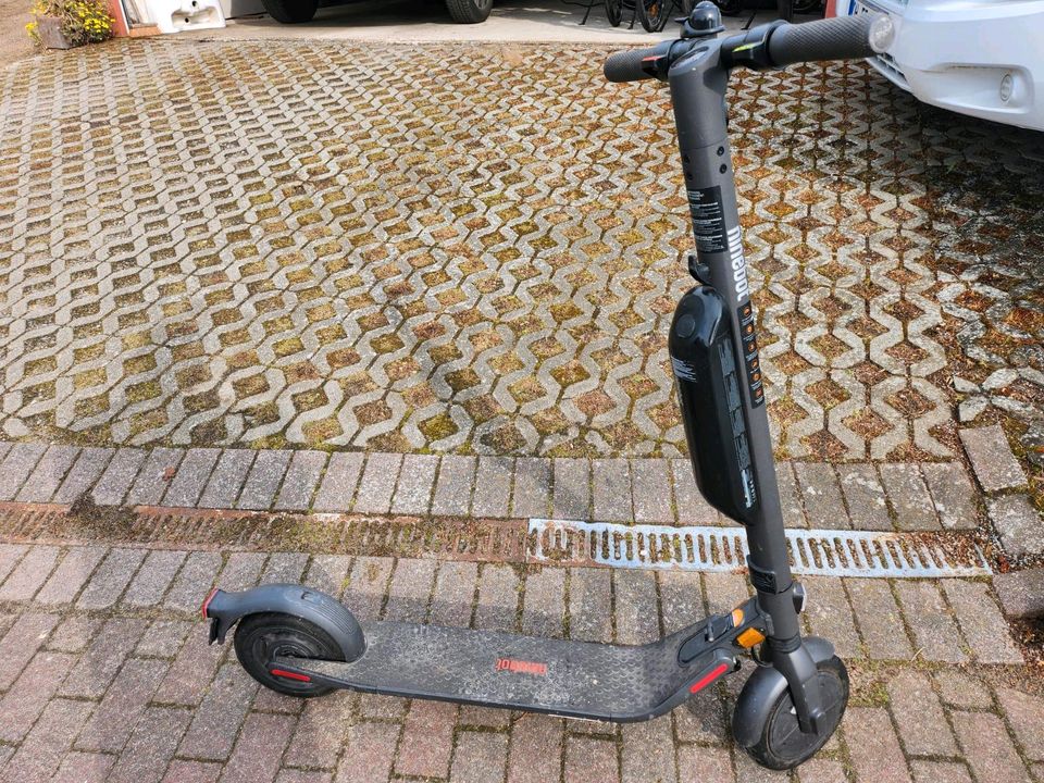 Ninebot KickScooter E45D in Stockelsdorf