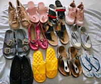 Schuhpaket 1 Gr.40 z.tl  Neu Adidas Nordrhein-Westfalen - Bad Salzuflen Vorschau