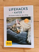 Lifehacks Katze Bayern - Regensburg Vorschau