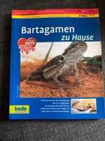 Bartagame zu Hause Nordrhein-Westfalen - Fröndenberg (Ruhr) Vorschau