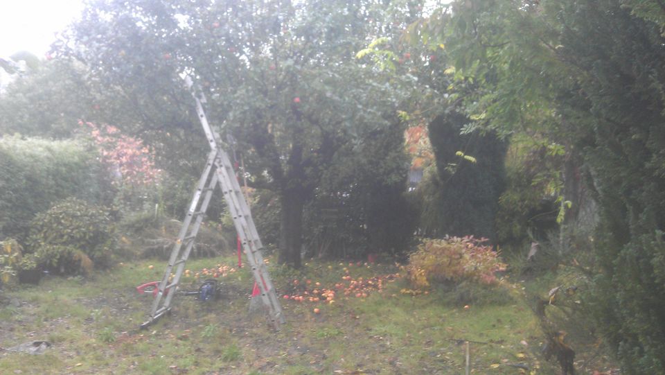 Jetzt ist noch Zeit für den Obstbaumschnitt und Gartenarbeiten. in Wittichenau