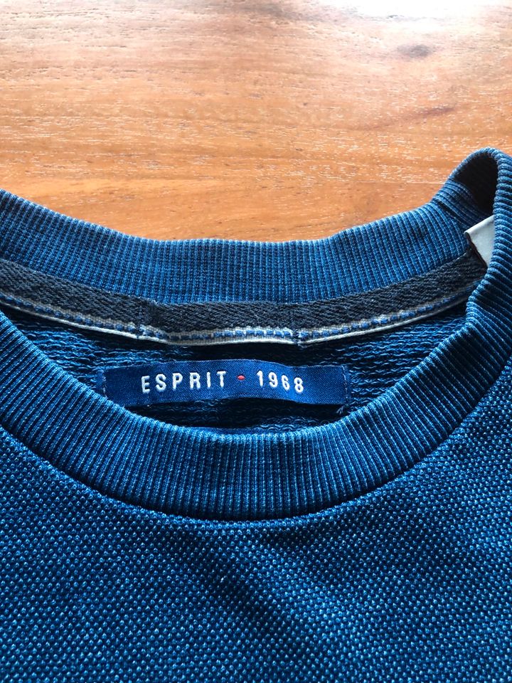 Esprit Pullover Größe M Herren blau top in Berschweiler