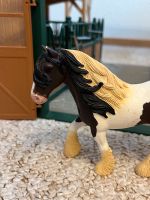 Schleich Spielfigur Pferd Tinker Hengst 13831 Niedersachsen - Braunschweig Vorschau