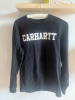 Carhartt Sweatshirt M Rheinland-Pfalz - Göcklingen Vorschau