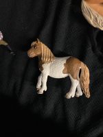 Schleich Pony Freiburg im Breisgau - Altstadt Vorschau