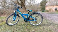 Blaues Kinderfahrrad Schleswig-Holstein - Westensee Vorschau