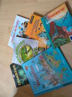 Verschiedene Kinderbücher zum Vorlesen und für Erstleser Baden-Württemberg - Waldachtal Vorschau