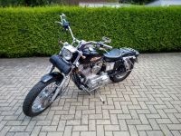 Harley-Davidson Sportzter 883 Sachsen - Pegau Vorschau