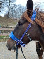 Equimero Nasenriemen Wechselpolster Sidepull gebisslose Trense Thüringen - Schmoelln Vorschau