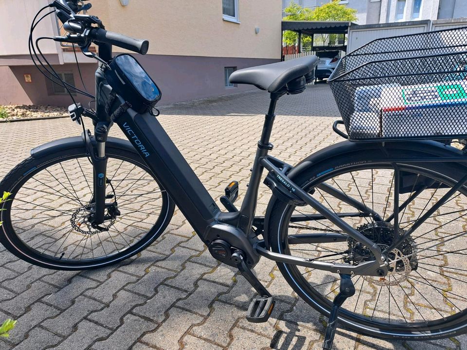 E-Bike Damen Victoria Tresalo 16 in Büttelborn