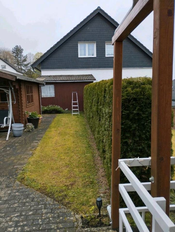 Galabau, Gartenarbeit, Gartenpflege, Hecke schneiden, Rollrasen in Bergneustadt