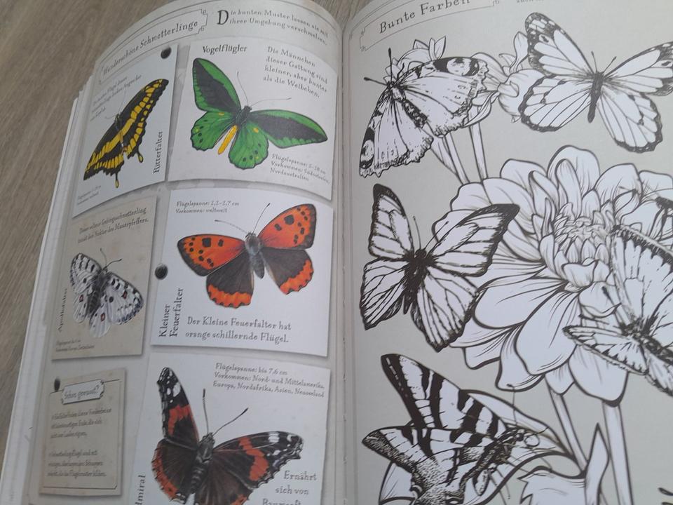 Die Welt der Insekten und andere Krabbeltiere von Tessloff in Weyhe