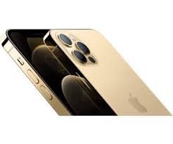 iPhone 12 Pro 128 GB in Gold in Neu Wulmstorf