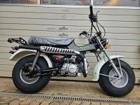 NEU Skyteam T-Rex 125cc Euro 5 Einspritzung Hessen - Schöneck Vorschau