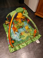 Fisher Price Rainforest Spielbogen Saarland - Friedrichsthal Vorschau