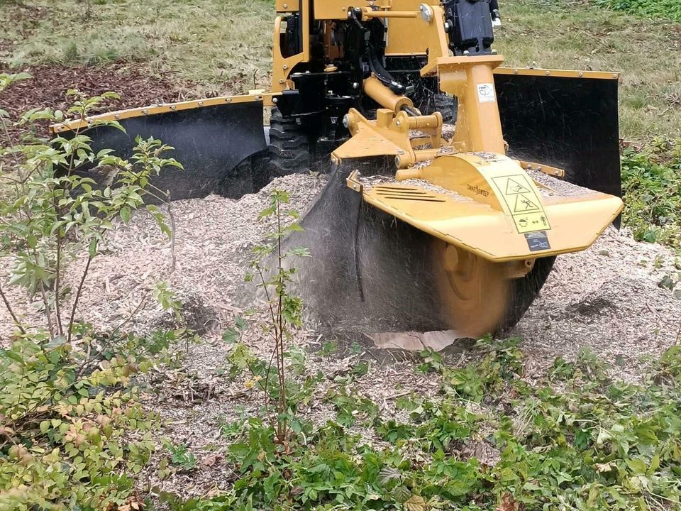 Baum- und Gartenpflege in Oettingen in Bayern