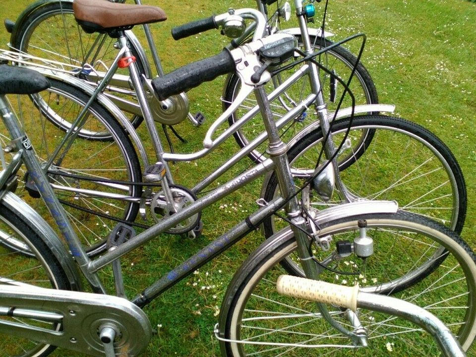 Edelstahl Nirosta Fahrrad 28 Oldtimer Klassiker Vintage  80er in Ostrhauderfehn