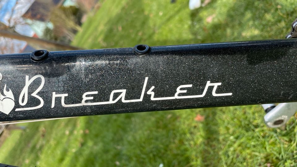 Fahrrad Speedbike 28er, Trekkingrad, 9,5 kg, RH 55 in Leipzig