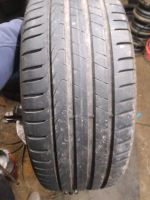 2× 205 55 R16 91V Pirelli Sommerreifen Rheinland-Pfalz - Lieg Vorschau