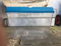 Transport- und Fütterungsbox | für Reptilien & Kleintiere | groß Stuttgart - Stuttgart-Nord Vorschau