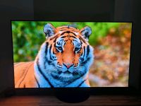 Panasonic 55" OLED Smart TV 4K Dolby Atmos HDR10+ 120Hz wNEU 2023 Rheinland-Pfalz - Polch Vorschau