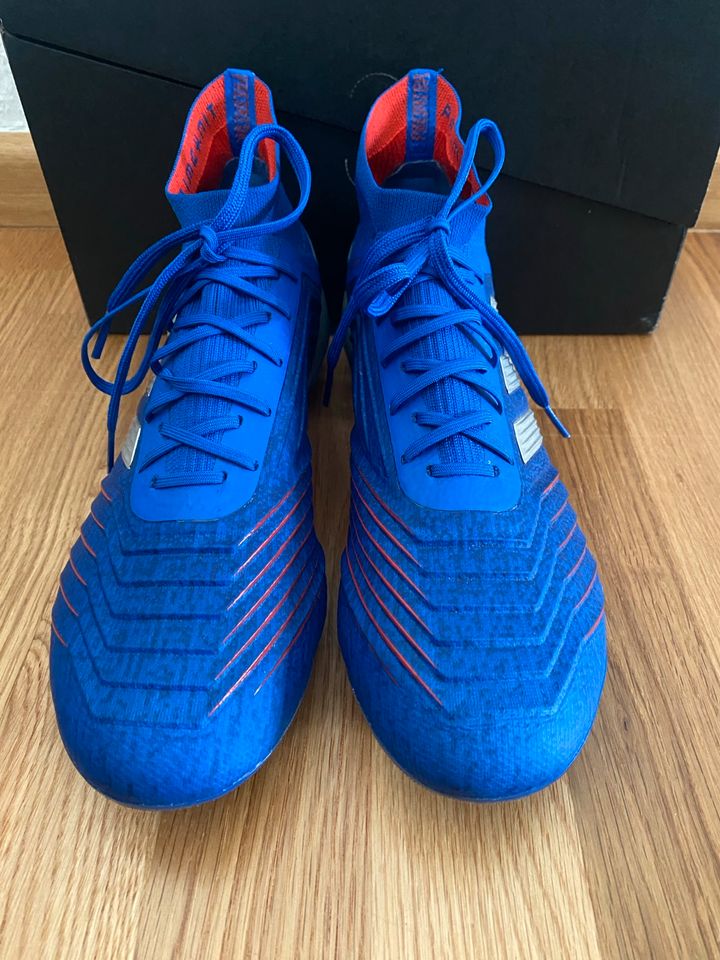 Adidas Predator 19.1 FG Fußballschuh Gr. 40 in Saarbrücken