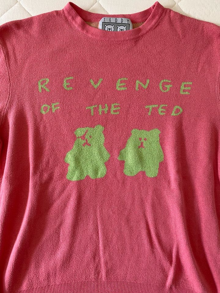 Teddy Fresh Revenge of the Ted Pullover in Bielefeld