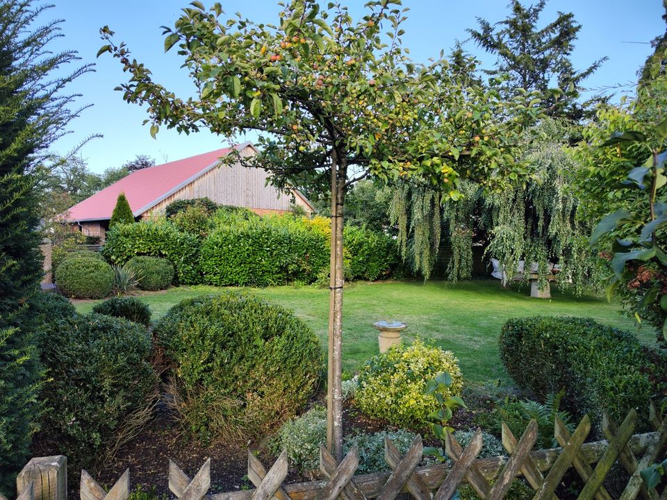 Helfende Hände im Garten  KT Das Hausmeister Duo in Pattensen