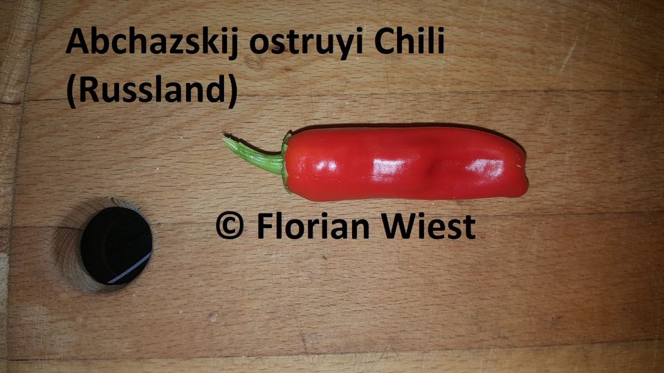 Chilis Samen - auch alte seltene Sorten aus Südosteuropa in Freital