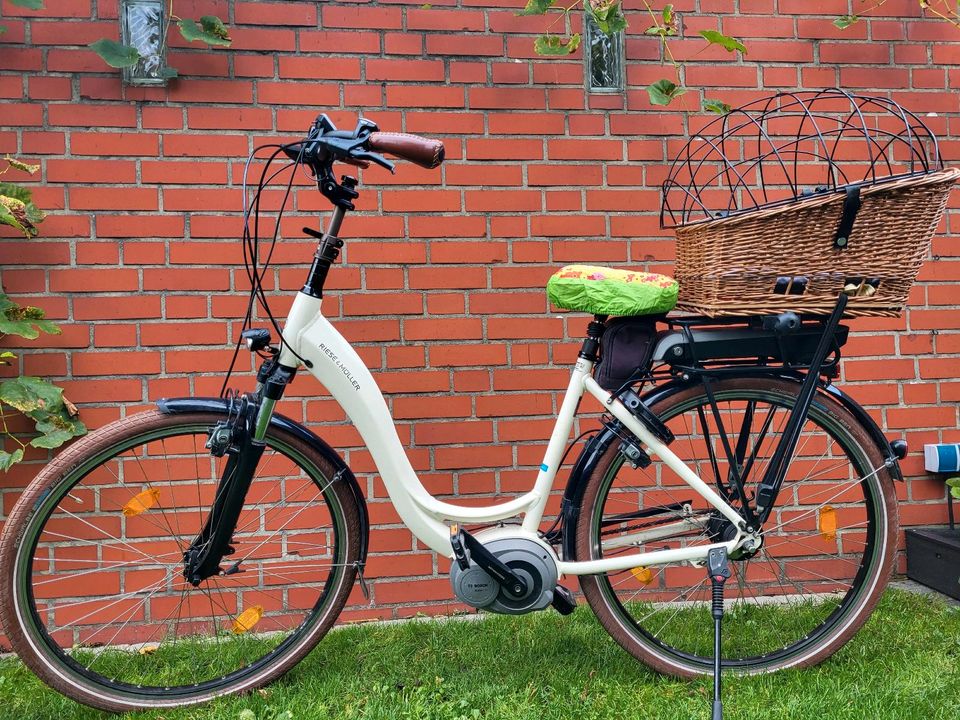 E Bike Damen Riese und Müller Damenfahrrad in Telgte