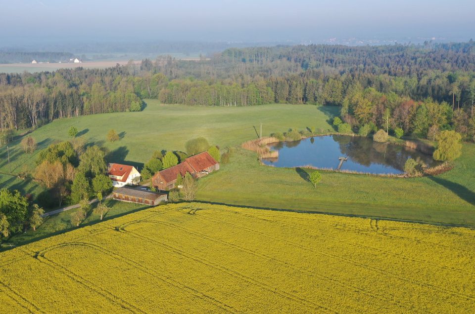 Traumhafter Landhof (5,2 ha) mit Weiher, Wald und Weiden in Aulendorf