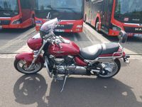 Suzuki intruder VZ 1500 Herzogtum Lauenburg - Lauenburg Vorschau