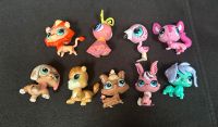 Littlest Pet Shop/LPS Tiere Bayern - Bad Aibling Vorschau