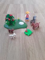 Playmobil Ziegenalm / Ziegenhirte 4499 Top Zustand Niedersachsen - Harsum Vorschau