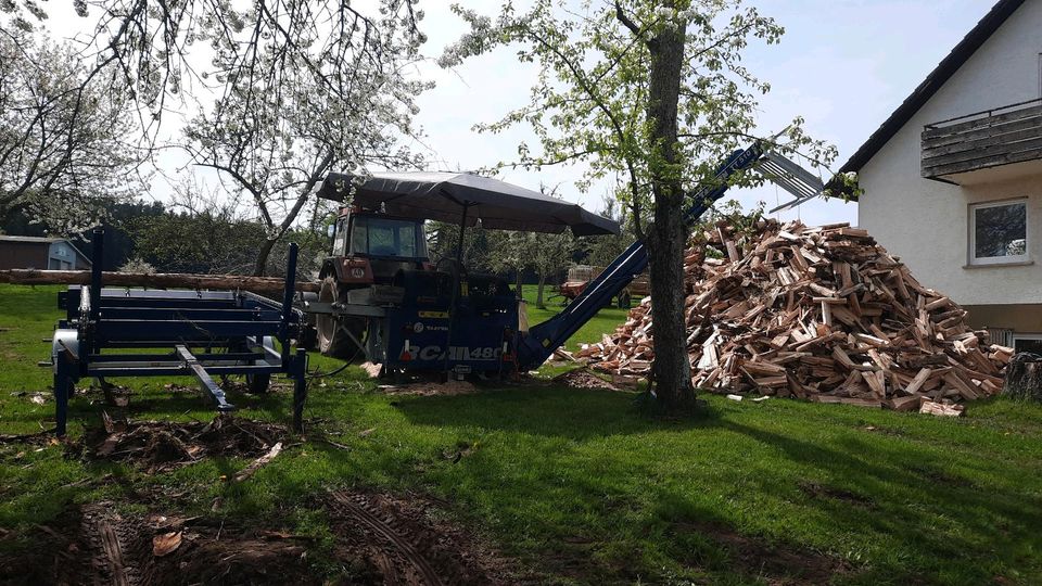 Lohnspalten/ Tajfun/ Brennholz spalten in Bad Teinach-Zavelstein