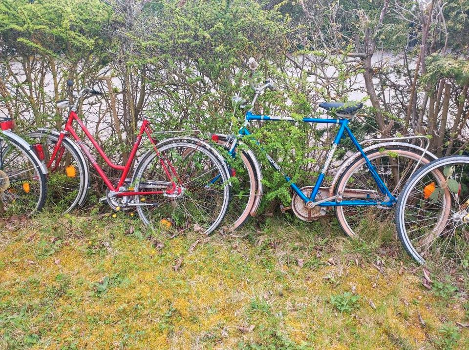 21 Fahrräder reparaturbedürftig Fahrrad in Bodelshausen