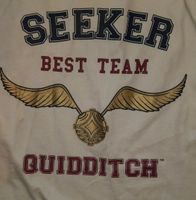 LA-Shirt Harry Potter Quidditch 158 164 Niedersachsen - Hameln Vorschau