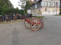 Kartoffelroder Lanz LK 30 guter Zustand Baden-Württemberg - Bad Wurzach Vorschau