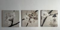 Ikea Bild Blumen / Kirschblüten 3-teilig Hannover - Vahrenwald-List Vorschau