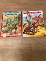 2 verschiedene DINO Bücher  ( Gesamtpaket ) Thüringen - Gera Vorschau