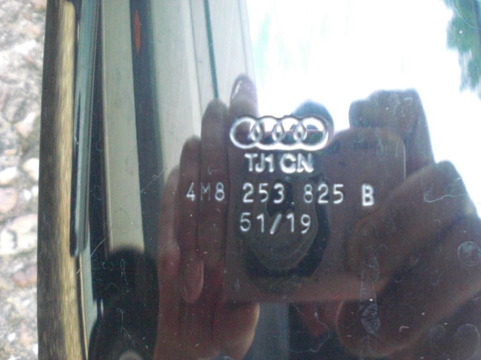 Audi RSQ8 4M 4.0l TFSI Endrohrblenden Auspuffrohrblenden.Schwarz.4M8253825B 4M8253826B.TOP in Heusweiler