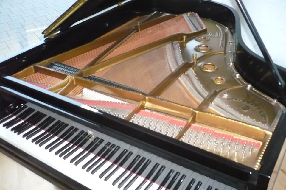 Märchenhaft schöner Steinway-Flügel in Freiburg im Breisgau