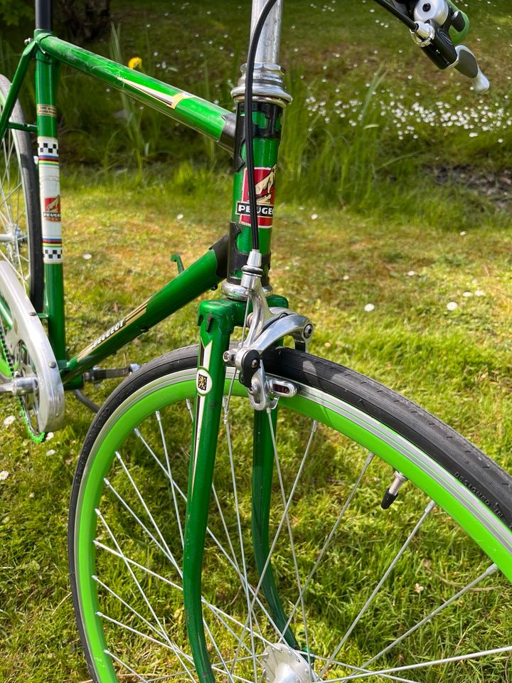 Peugeot Vintage Rennrad / Singlespeed in Euskirchen