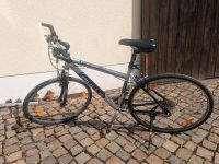 BULLS Trekking Damenrad inkl. Steckschutzbleche Sachsen - Großpösna Vorschau