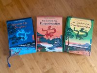 Hüterin des Drachen - Carole Wilkinson - Kinder-Buchreihe Baden-Württemberg - Malsch Vorschau
