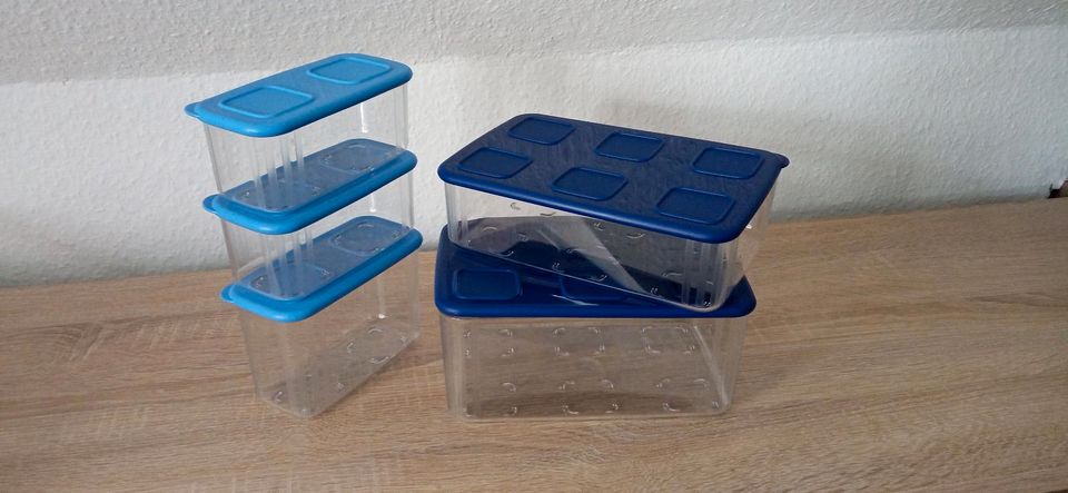 Clear Mates System von Tupperware in Meschede