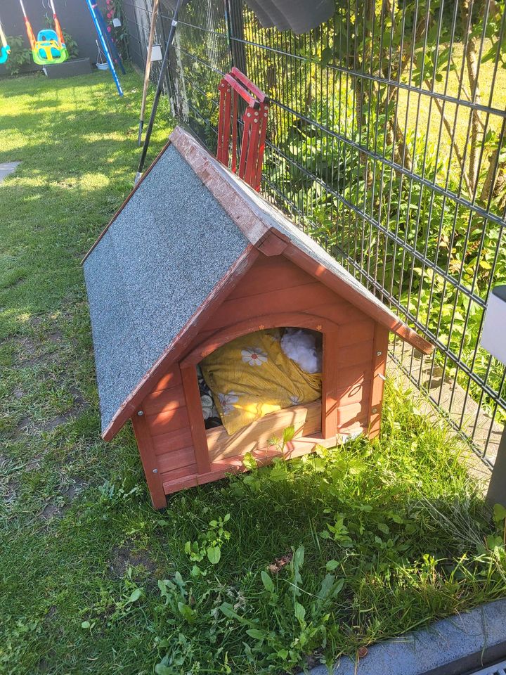 Hunde Hütte in Ludwigshafen