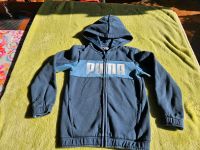 Puma Pulloverjacke Sweatshirt  Training Gr 128 Hessen - Bad Wildungen Vorschau