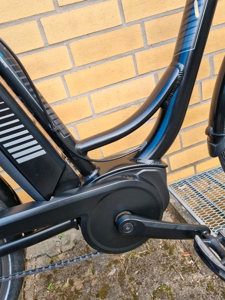 Neuwertig RALEIGH 28er, Bosch Active-line plus in Bad Bevensen